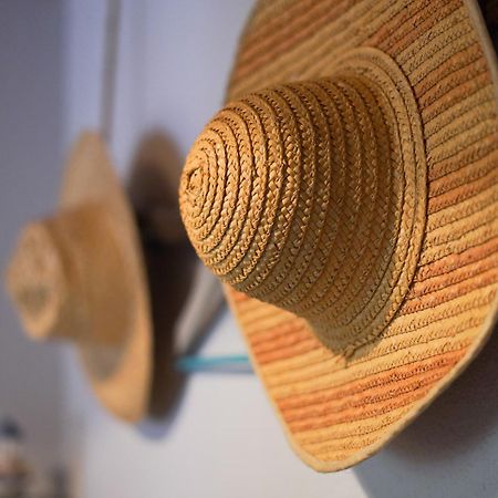 Maisonnette Au Pied De L'Ocean Avec Terrasse Biscarrosse Exteriör bild